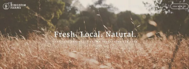 網站首頁界面設計的5個技巧-引入可點擊的元素